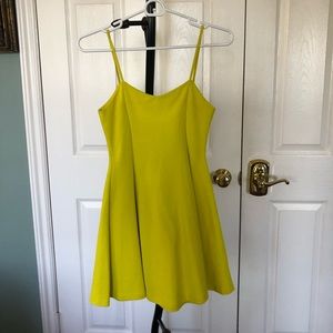 Zara Fit and Flare Dress